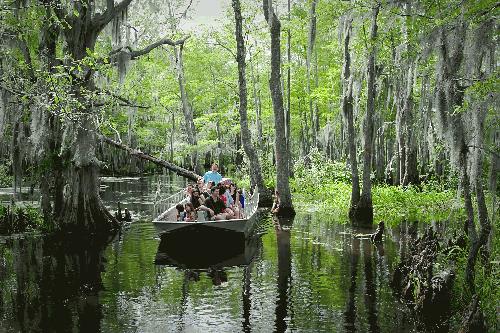 Bayou and Swamp Tours | TripShock! Tour & Activity Glossary - TripShock!