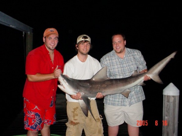 destin shark fishing
