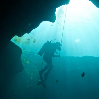Scuba Diving Charter Trip from Panama City Beach