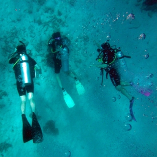 Discover Scuba Diving In Panama City Beach Tripshock Discover Scuba Diving In Panama City Beach