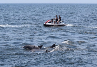 Jet Ski Dolphin Tour with Myrtle Beach Watersports