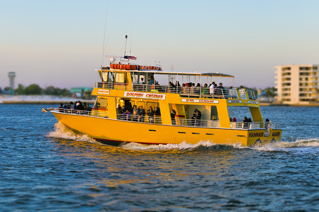 Dolphin Watch And Destin History Cruise Tripshock Note It Is The Responsibility Of Activity Tour Company To Ensure Accuracy Photos Displayed Tripshock Not Responsible For Any