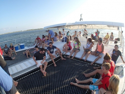 Dolphin & Snorkel Cruise with Cattywampus Aquatic Adventures