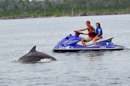 Completely Private Waverunner Dolphin Tours with Barefoot Jet Ski Tour Co.