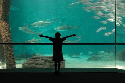 New Orleans Aquarium of The Americas Admission Tickets