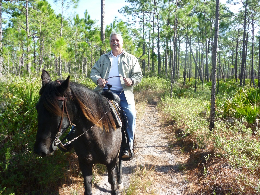 Horsing Around 85 Reviews Of Horseback Trail Rides 30a Destin Horseback Trail Rides 30a Destin