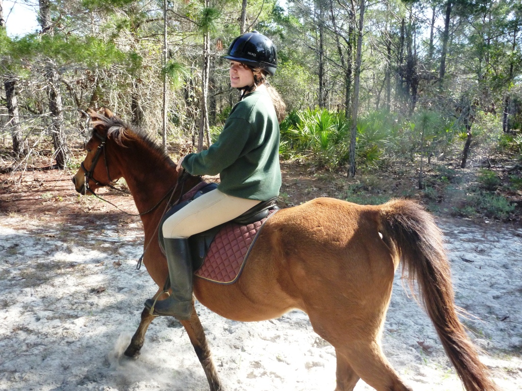 Horseback Riding On The Beach Destin Fl Travel Guide Horseback Riding On The Beach Destin Fl