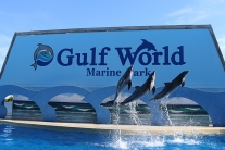 Panama City Beach Fl Visitor S Guide Tripshock Gulf World Marine Park Tickets